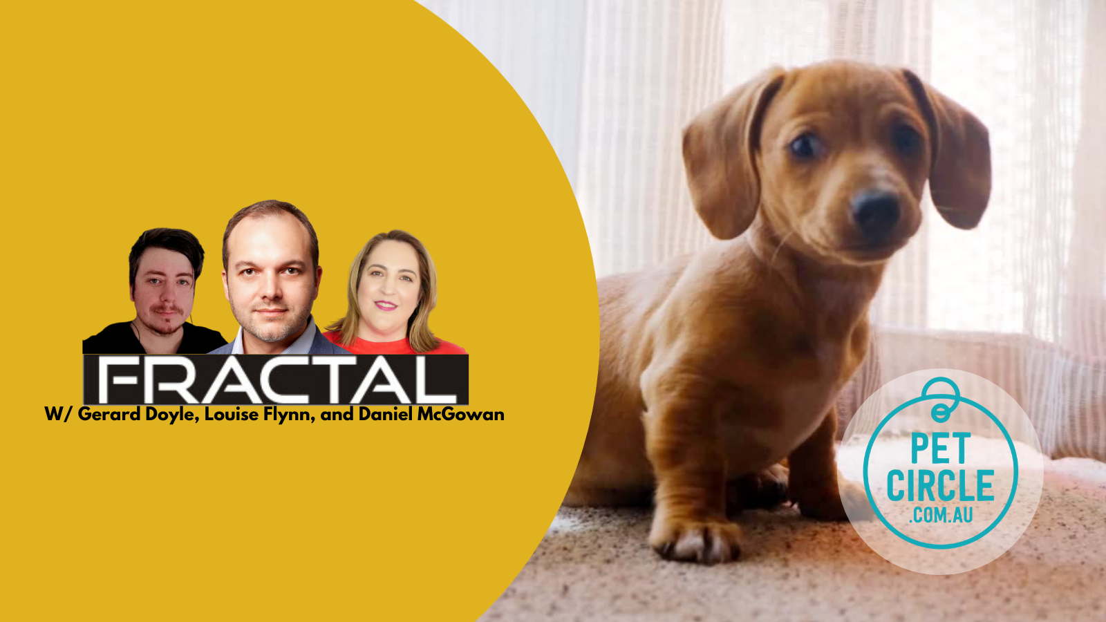 Pet Circle Instagram and Subscriptions The Startup Marketing Agency